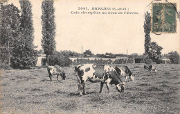 Arpajon           91          Coin Champêtre Au Bord De L'Yvette.  Vaches Au Pré           (voir Scan) - Arpajon