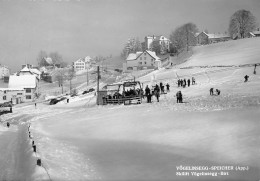 Vögelinsegg Speicher Skilift - Speicher