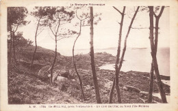 Trébeurden * Ile Milliau * Un Coin De L'ile , Au Fond L'ile Molène - Trébeurden