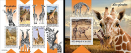 Guinea 2023, Animals, Giraffes, 4val In BF +BF - Girafes