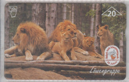 AUSTRIA 1997 SAFARI LIONS - Giungla