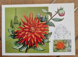 RUSSIE-URSS Fleurs, Fleur, Flowers Yvert N° 4481. Carte Maximum FDC Premier Jour  - Autres