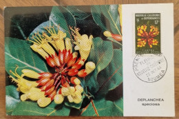 NOUVELLE CALEDONIE Fleurs, Fleur, DEPLANCHA Speciosa Carte Maximum FDC Premier Jour . Yvert N° 321 (1964) - Other