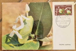 NOUVELLE CALEDONIE Fleurs, Fleur, IXORA COLLINA Carte Maximum FDC Premier Jour . Yvert N° 320 (1964) - Sonstige