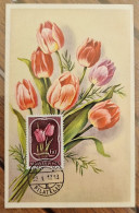 HONGRIE Fleurs, Fleur, TULIPE Carte Maximum FDC Premier Jour. Yvert N° 1026 (1951) - Otros