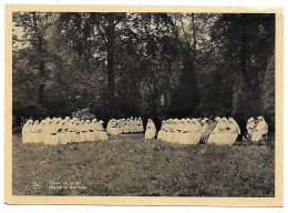 CPA Wuestwezel, Franciscaines Missionnaires De Marie, Etude Au Jardin - Wuustwezel