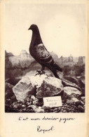 Pigeons - Cliché Officiel Du Pigeon De Verdun - Colombogramme Du Commandant Raynal - Carte Postale Ancienne - Andere & Zonder Classificatie