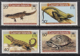 1981 Cayman Islands Reptiles Lizards Turtles Complete Set Of 4  MNH - Cayman Islands