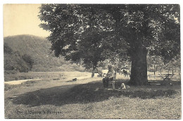 CPA L'Ourthe à Palogne - Ferrières