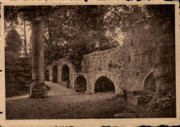 CAMBRON  PArc Les Ruines De L'église - Brugelette