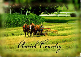 Pennsylvania Greetings From The Amish Country Farming Scene  - Lancaster