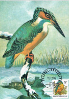 Belgique - Oiseaux : Martin-pêcheur CM 2240 (année 1986) - 1981-1990