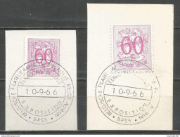 Belgique - Lion Héraldique - N° 855 Et 1370P3 - Obl. Expo.Filatelie Aan Rijn - Philatélie Belge Au Rhin - BPS2 - 10/9/66 - Commemorative Documents