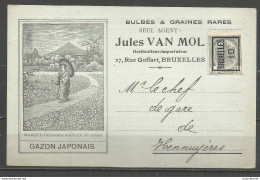 Belgique - Carte Postale Publicitaire - J. Van Mol, Horticulteur-Importateur, Bruxelles - Gazon Japonais, Bulbes Graines - Publicidad