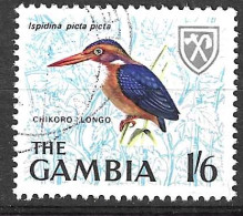 GAMBIA - 1966 - UCCELLI - ISPIDINA PICTA PICTA - 1,6 - USATO ( YVERT 216 - MICHEL 218) - Moineaux