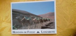E- Lanzarote  Montana De Fuego - Lanzarote