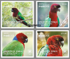 Tonga 2023, Parrots, 4val IMPERFORATED - Perroquets & Tropicaux