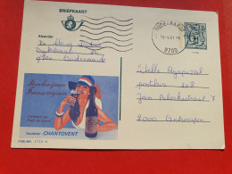 Belgique - Entier Postal ( Publibel ) De Oudenaarde Pour Anvers En 1981 - Réf 1648 - Werbepostkarten