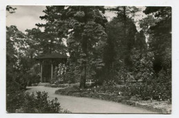 AK 144329 GERMANY - Sangershausen - Pavillion Im Rosarium - Sangerhausen