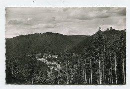 AK 144377 GERMANY - Bad Teinach / Schwarzwald Mit Ruine Zavelstein - Bad Teinach