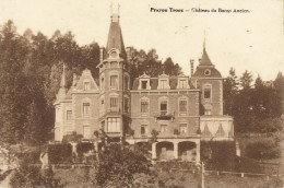 PRAYON-TROOZ - Château Du Baron Ancion - N'a Pas Circulé - Edit. Higny-Magnée, Prayon-Trooz - Trooz