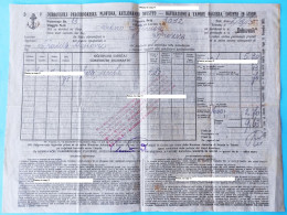 DUBROVAČKA PAROBRODSKA PLOVIDBA (Dubrovnik) Croatia Shipping Company Bill Of Landing (1915) Trieste-Ston * Konnaissement - Autres & Non Classés