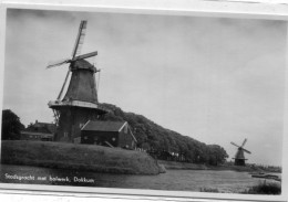 PAYS BAS / NEDERLANDS - Dokkum : Molen / Moulin - Dokkum