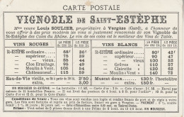 30 - VERGEZE - Vignoble De Saint Esthèphe - Vergèze