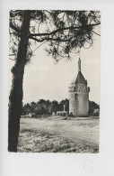 Allaire, Le Monument De Brancheleux (calvaire) Cp Vierge L. Nedelec Photographe (moulin) - Allaire