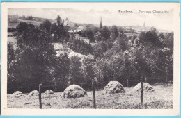 CPA FERRIERES Paysage Champêtre Meule A Circulé En 1950 - Ferrières