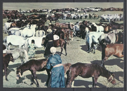 Mongolia, Somewhere, Large Herd Of Horses, 1971. - Mongolië