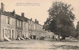 52 - NOGENT EN BASSIGNY - S19429 - Avenue Félix Grelot Dit Les Hautes Vignes - Nogent-en-Bassigny