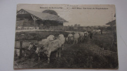 60 PLAILLY . Domaine De Bertrandfosse . Une Cour De L'exploitation - Sonstige & Ohne Zuordnung