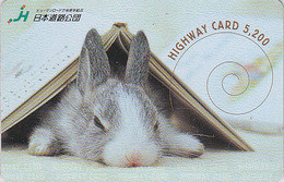 Carte Prépayée JAPON - ANIMAL - LAPIN - RABBIT - KANINCHEN - CONEJO - KONIJN JAPAN Prepaid Highway Card - HW 326 - Conejos