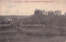 BIDACHE RUINES DU CAHTEAU DES DUCS DE GRAMONT 1913 - Bidache