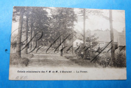 Gooreind Colonie Missionaire Des F.M. De M. La Ferme Wuustwezel 1905 - Wuustwezel