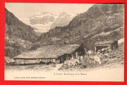 Delcampe - ZVP-19 RARE Alpage De Bonavaux Sur Champéry Illiez Morgins. ANIME. Jullien 1074 - Champéry