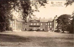 LE ROEULX - Façade Du Château - Le Roeulx