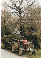 Saint-Lyphard Pingrin Animée Déchargement De Fagots Tracteur Métiers - Saint-Lyphard