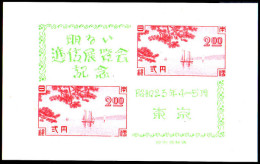 Japan 1948 Tokyo CommuniCations Exhibition Souvenir Sheet Unmounted Mint. - Unused Stamps