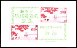 Japan 1948 Tokyo CommuniCations Exhibition Souvenir Sheet Unmounted Mint. - Neufs