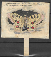 1900s CIRCA PAPER BUTTERFLY MECHANICAL WINGS MOOVEMENT EXTRA RARE 10 X 7 Cm - Ohne Zuordnung