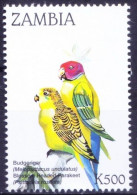 Zambia 1998 MNH, Budgerigar, Parrot, Birds - Perroquets & Tropicaux