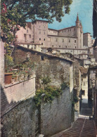 CARTOLINA  URBINO,MARCHE-SCALETTE DI S.GIOVANNI-MEMORIA,CULTURA,RELIGIONE,IMPERO ROMANO,BELLA ITALIA,VIAGGIATA 1976 - Urbino