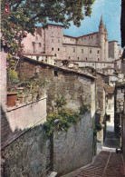 CARTOLINA  URBINO,MARCHE-SCALETTE DI S.GIOVANNI-MEMORIA,CULTURA,RELIGIONE,IMPERO ROMANO,BELLA ITALIA,NON VIAGGIATA - Urbino