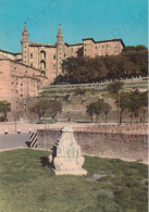 CARTOLINA  URBINO,MARCHE-PANORAMA-STORIA,MEMORIA,CULTURA,RELIGIONE,IMPERO ROMANO,BELLA ITALIA,NON VIAGGIATA - Urbino