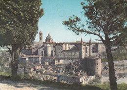 CARTOLINA  URBINO,MARCHE-PANORAMA-STORIA,MEMORIA,CULTURA,RELIGIONE,IMPERO ROMANO,BELLA ITALIA,NON VIAGGIATA - Urbino