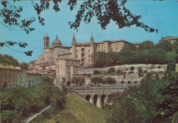 CARTOLINA  URBINO,MARCHE-PANORAMA-STORIA,MEMORIA,CULTURA,RELIGIONE,IMPERO ROMANO,BELLA ITALIA,NON VIAGGIATA - Urbino