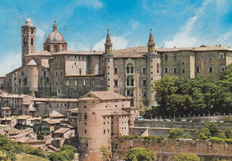 CARTOLINA  URBINO,MARCHE-PALAZZO DUCALE E PANORAMA-STORIA,CULTURA,MEMORIA,RELIGIONE,BELLA ITALIA,VIAGGIATA 1978 - Urbino