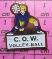 1619 Pin's Pins / Beau & Rare /  SPORTS / CLUB DE VOLLEY-BALL C.O.W. - Volleyball